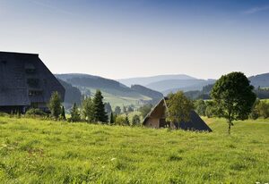 Gasthaus Schweizerhof – Einzelzimmer mit Dusche/WC und Balkon