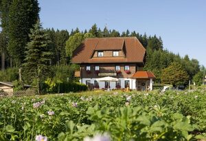 Gasthaus Schweizerhof – Einzelzimmer mit Dusche/WC und Balkon