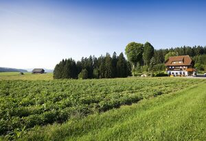 Gasthaus Schweizerhof – Einzelzimmer mit Dusche/WC und Balkon