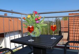 Penthouse Tauberblick