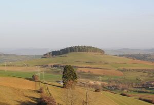 Ferienwohnung Zeller