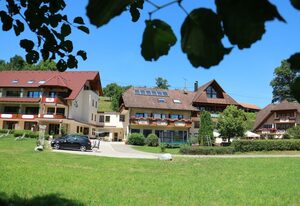Landgasthof Adler-Pelzmühle – Doppelzimmer Deluxe mit Dusche und WC und Südbalkon