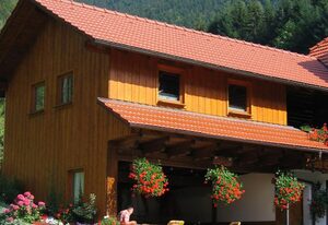 Mosertonihof – Doppelzimmer 1 mit WC und Dusche , 1 - 2 Personen