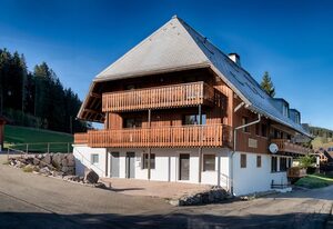 Tannenhof Fischbach - Fewo 6 "Karpfen" - Schluchsee, 2 Schlafzimmer, E-Auto Ladestation