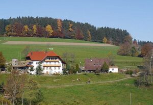 Dischhof – Ferienwohnung 90qm, 3 Schlafzimmer, max. 7 Pers. , 1 - 7 Personen