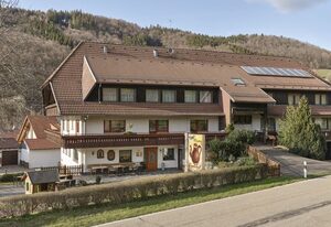 Café Pension Endehof – Einzelzimmer mit Dusche und WC, teilweise Balkon und TV