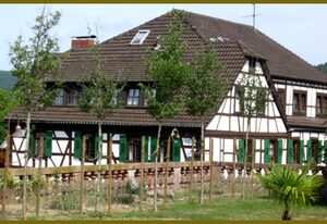 Goldner Engel, Restaurant - Hotel - Metzgerei – Komforteinzelzimmer  Nr. 23