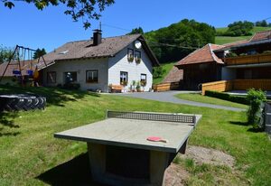 Haus Rümmele - Ferienwohnung 1