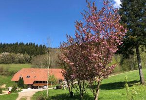 Langmichelhof – Ferienwohnung 32qm, 1 Wohn-/Schlafraum