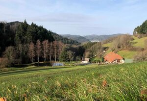 Langmichelhof – Ferienwohnung 32qm, 1 Wohn-/Schlafraum