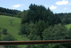 Mockhof – Bachhüsliblick
