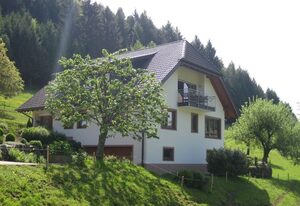 Mockhof – Bachhüsliblick