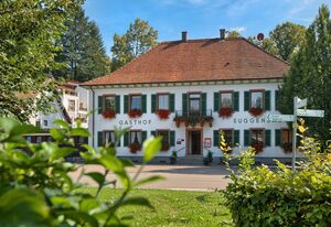 Hotel Suggenbad – Doppelzimmer Einbollen mit Dusche und WC