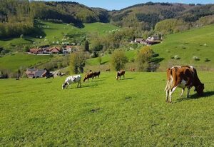 Jakobsbauernhof