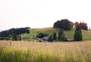 Almgasthaus Knöpflesbrunnen / Fünfbettzimmer