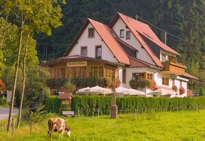 Gasthaus Hohberg – Doppelzimmer Classic mit WC und Dusche