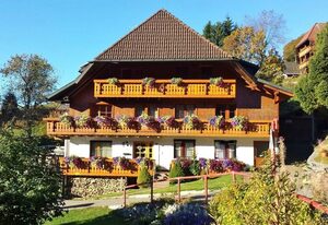 Bühlhof Todtnauberg  Wohnung 3