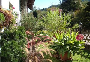 Gästehaus Waldblick – Doppelzimmer mit WC und Dusche  Das immer SCHÖNE