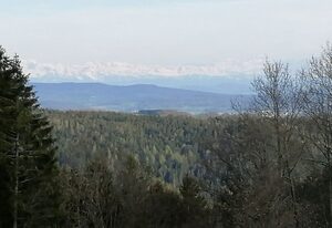 Chalet Charbonnier