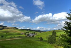derWaldfrieden naturparkhotel – AppartementKomfort