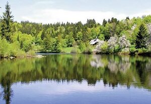 Landgasthof Klosterweiherhof – Einzelzimmer mit Dusche und WC