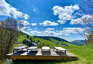 Berghof Almzeit - Fewo "Hüsli", Sauna, Todtnauberg, Feldberg