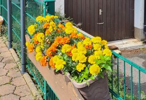 Pension Hauber – Appartement Klausenhof mit schönem Balkon