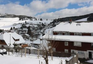 Ferienwohnung Mara 01 im Haus Schwarzwaldmarille- Todtnauberg, Feldberg,