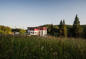 Waldhotel am Notschreipass – Nordic Flair-Doppelzimmer Superior