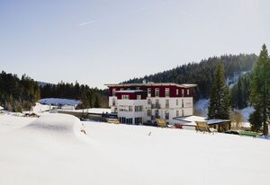 Waldhotel am Notschreipass – Nordic Flair-Doppelzimmer Superior