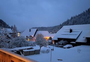 Schwarzwaldhaus - Fewo Fichte, St. Blasien - Menzenschwand