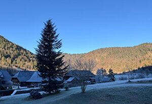 Schwarzwaldhaus - Fewo Fichte, St. Blasien - Menzenschwand