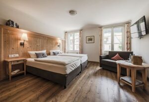 Naturpark-Hotel Grüner Baum – Einzelzimmer mit Dusche/Bad und WC