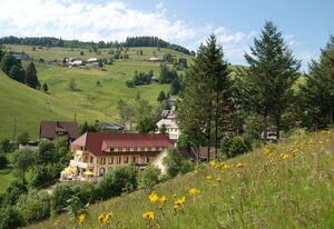 Naturpark-Hotel Grüner Baum – Einzelzimmer mit Dusche/Bad und WC