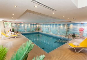 Bergseele Privat- & Retreathotel Schwarzwald – Economy Einzelzimmer mit Badewanne/WC und Balkon