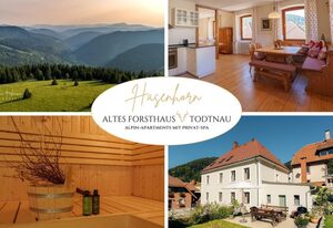 Altes Forsthaus - Fewo "Hasenhorn", mit privater Sauna, Todtnau- Feldberg