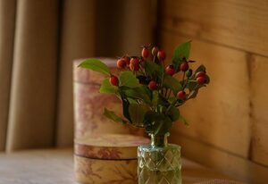 Altes Forsthaus - Fewo "Wiesental", privater "Spa" mit Sauna, Wanne und Relaxliegen, Todtnau- Feldberg
