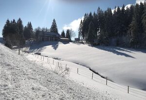 Waldhotel Auerhahn "Hochkopfhaus" – Standard Doppelzimmer Afrika mit Eck-Badewanne und WC