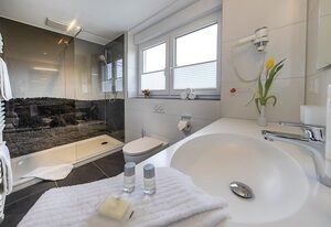 Gasthof - Hotel zum Ochsen – Business Doppelzimmer mit Dusche und WC