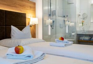 Gasthof - Hotel zum Ochsen – Business Doppelzimmer mit Dusche und WC