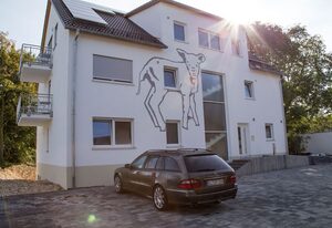 Gasthaus Lamm Garni – Einzelzimmer mit Küchenzeile