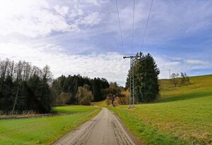 BodenSEE Apartment Neukirch Goppertsweiler "FUCHS"