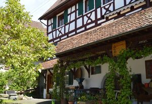 Zum Torkelhaus – Doppelzimmer Seesicht mit Dusche und WC