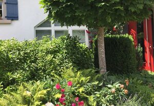 Landhaus Grafenholz – Landhaus Tiny-Appartement, 15 qm, 1 Schlafzimmer, max. 1 Person