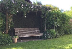 Landhaus Grafenholz – Landhaus Tiny-Appartement, 15 qm, 1 Schlafzimmer, max. 1 Person