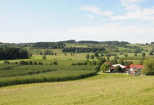 Ferienhof Hopfgärtle Müller – Ferienwohnung Apfelrot