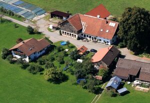 Mockenhof – Linde mit Balkon