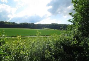 Wunderschönes Ferienhaus in Zainingen