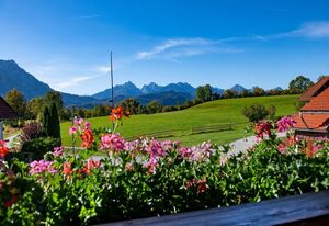Landhaus Beim Joaser – DZ Standard
