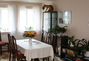 Ferienhof Lass – Ferienwohnung-2-Räume - 02